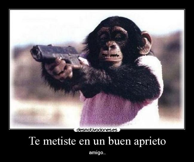 carteles lol desmotivaciones