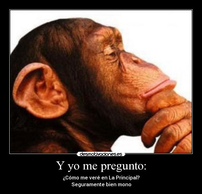 carteles pregunto como vere principal bien mono desmotivaciones