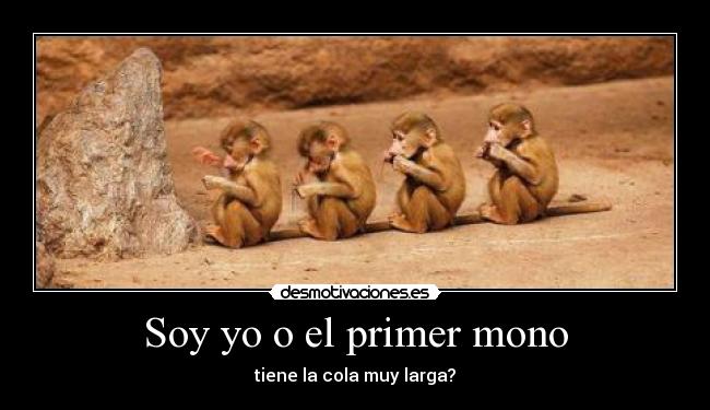 Soy yo o el primer mono - tiene la cola muy larga?