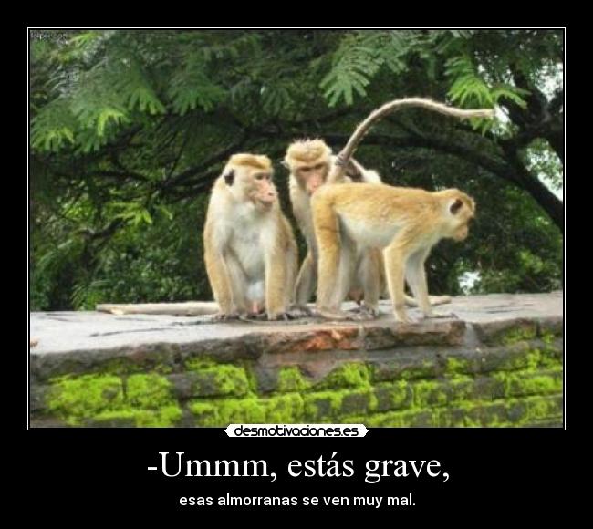 -Ummm, estás grave, - 