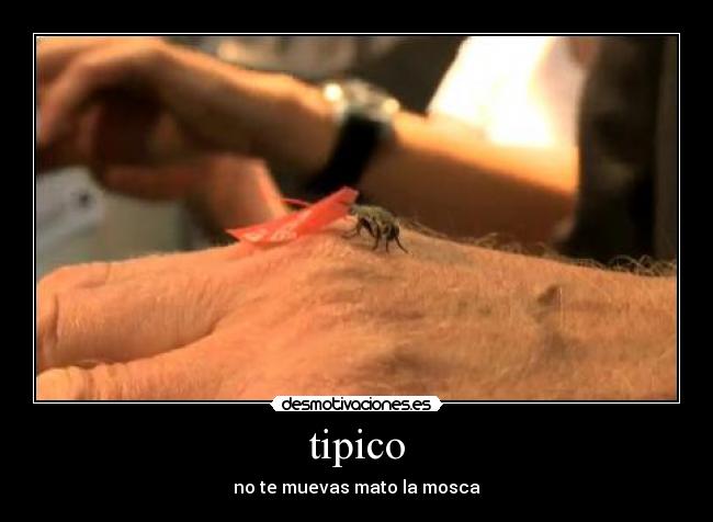 tipico - no te muevas mato la mosca