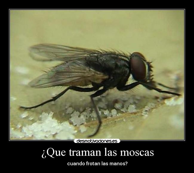 carteles dudaa desmotivaciones