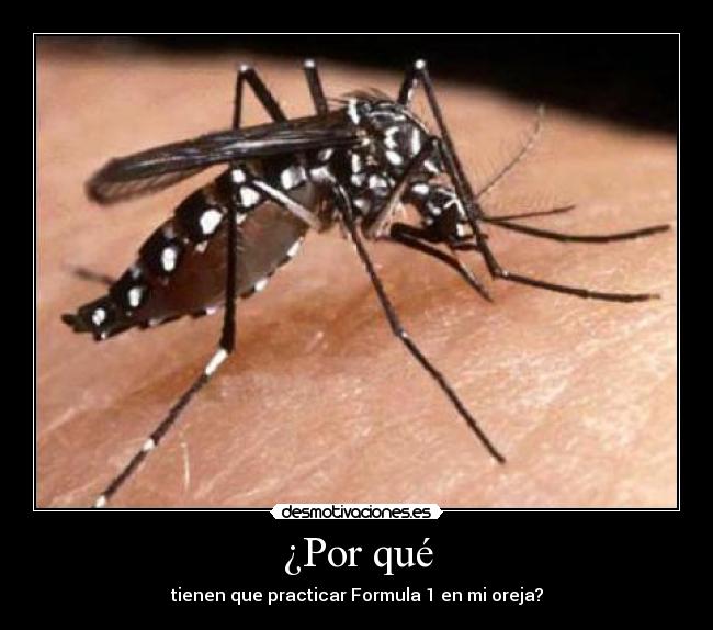 ¿Por qué - tienen que practicar Formula 1 en mi oreja?