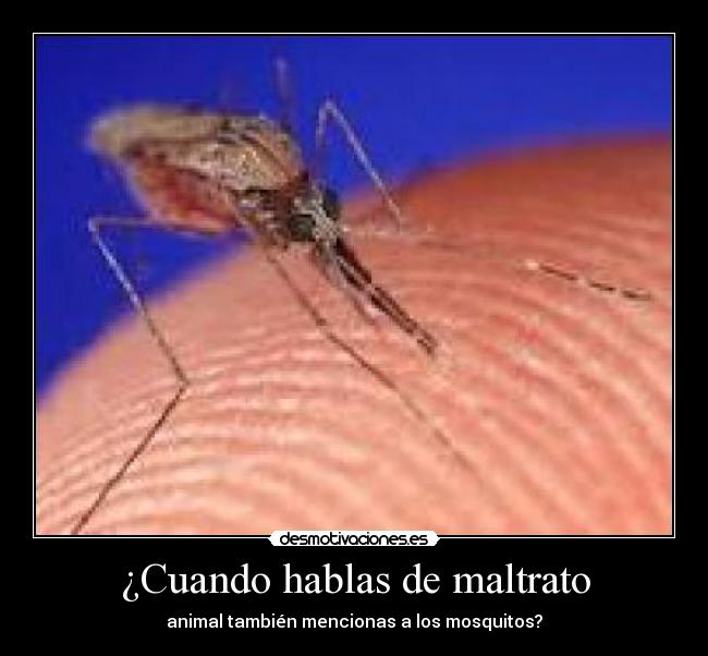 ¿Cuando hablas de maltrato -