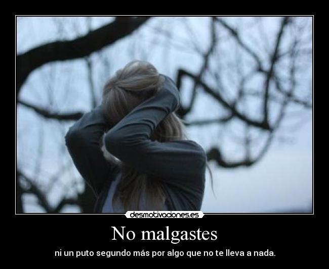No malgastes -