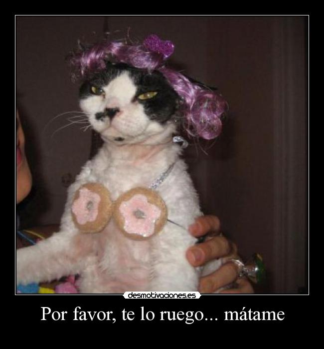 Por favor, te lo ruego... mátame -