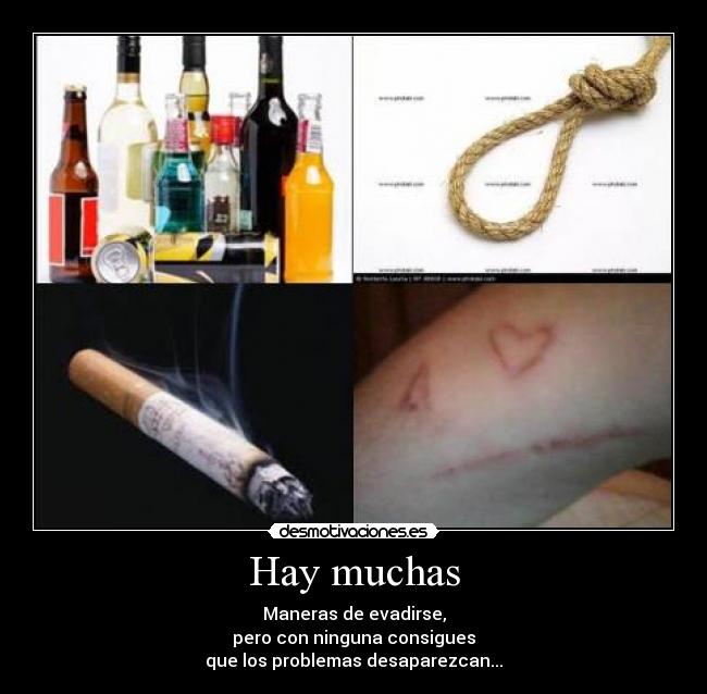 Hay muchas - 
