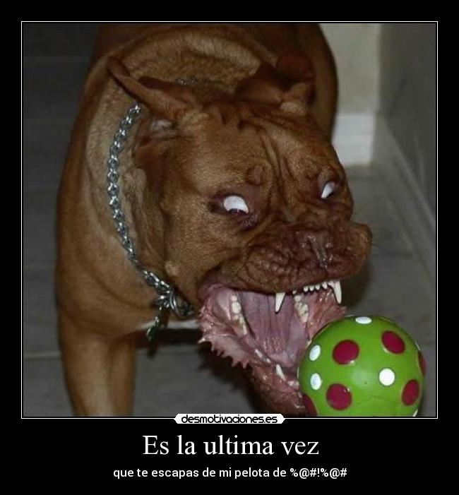 Es la ultima vez - que te escapas de mi pelota de %@#!%@#