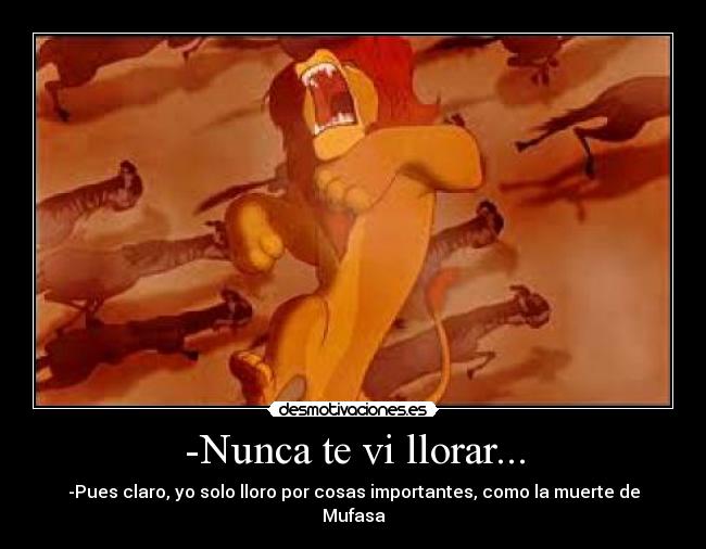 -Nunca te vi llorar... -