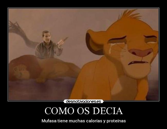 COMO OS DECIA - Mufasa tiene muchas calorías y proteínas