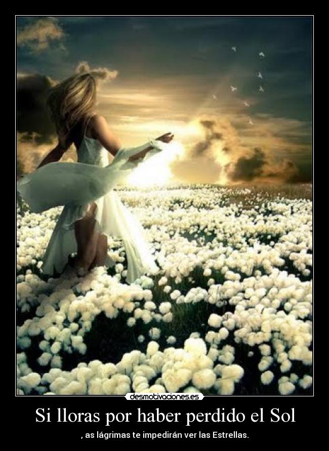 Si lloras por haber perdido el Sol - , as lágrimas te impedirán ver las Estrellas.
