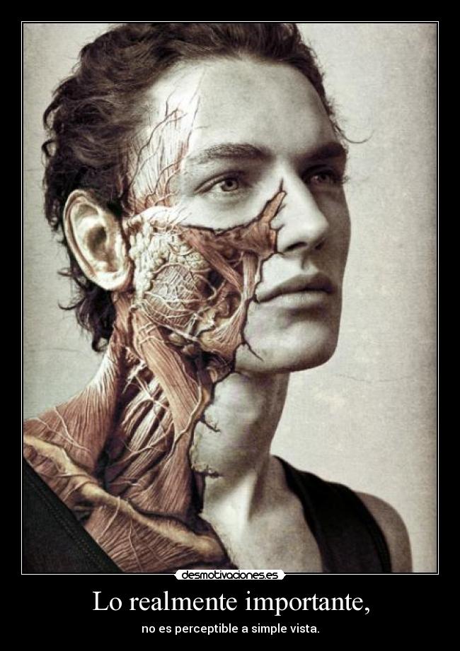 Lo realmente importante, - no es perceptible a simple vista.