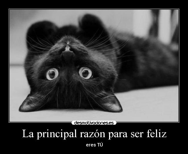 La principal razón para ser feliz -