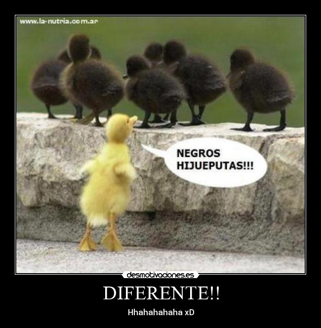 DIFERENTE!! -
