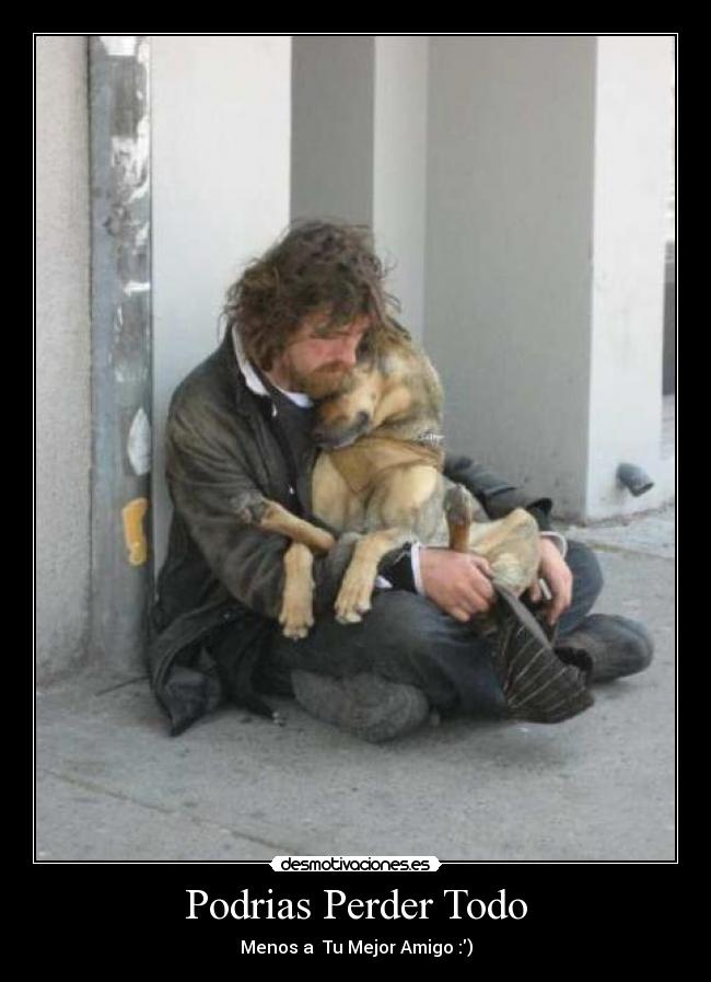 Podrias Perder Todo - Menos a Tu Mejor Amigo :)