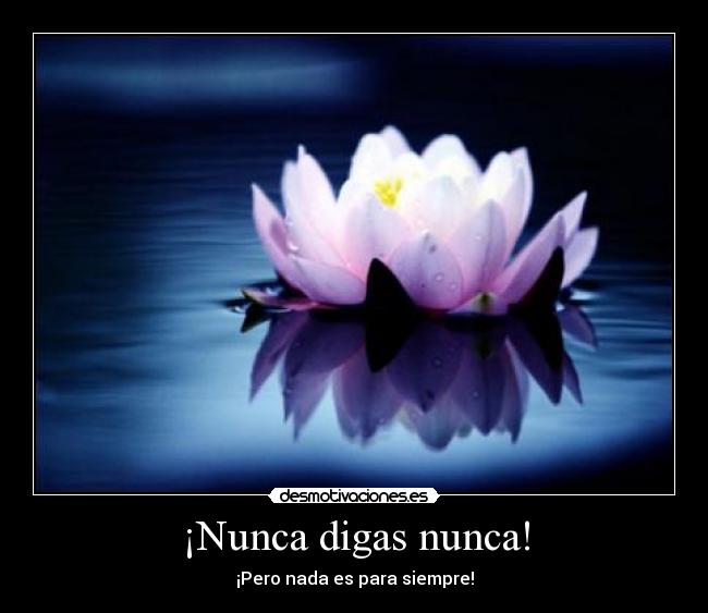 ¡Nunca digas nunca! -