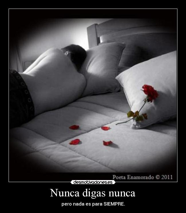 Nunca digas nunca -