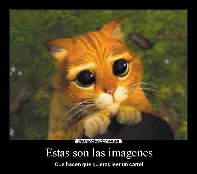 Estas son las imagenes -