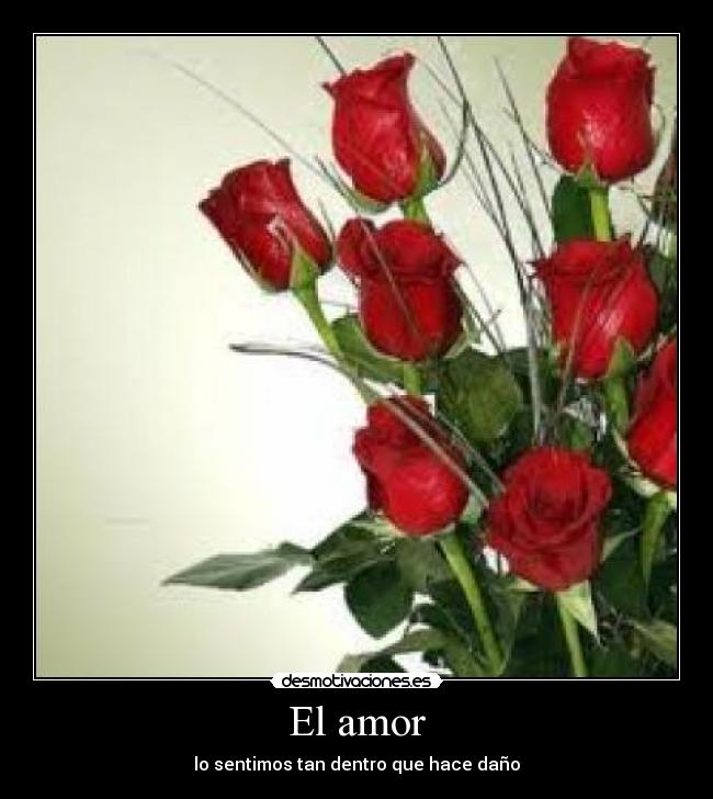 El amor - 