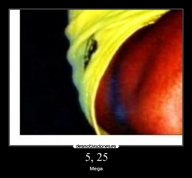 carteles megacartel nach2 desmotivaciones