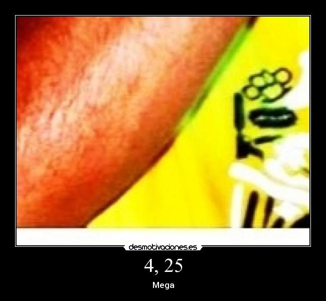 carteles megacartel nach2 desmotivaciones