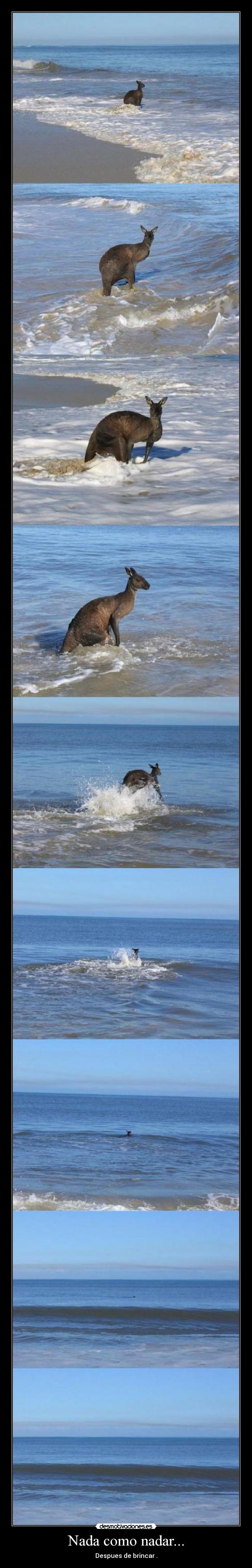 Nada como nadar... - 