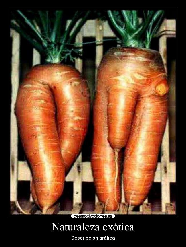 Naturaleza exótica -