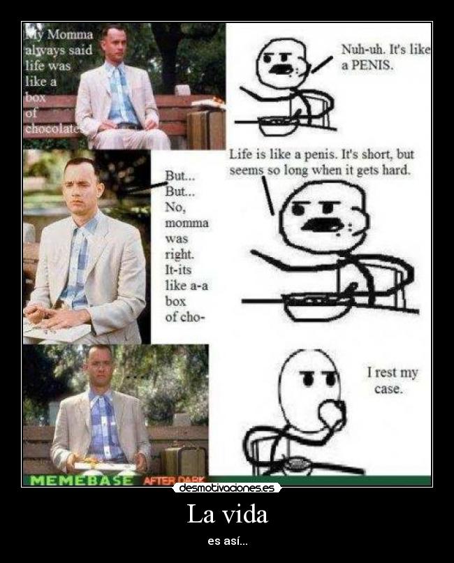 La vida - es así...