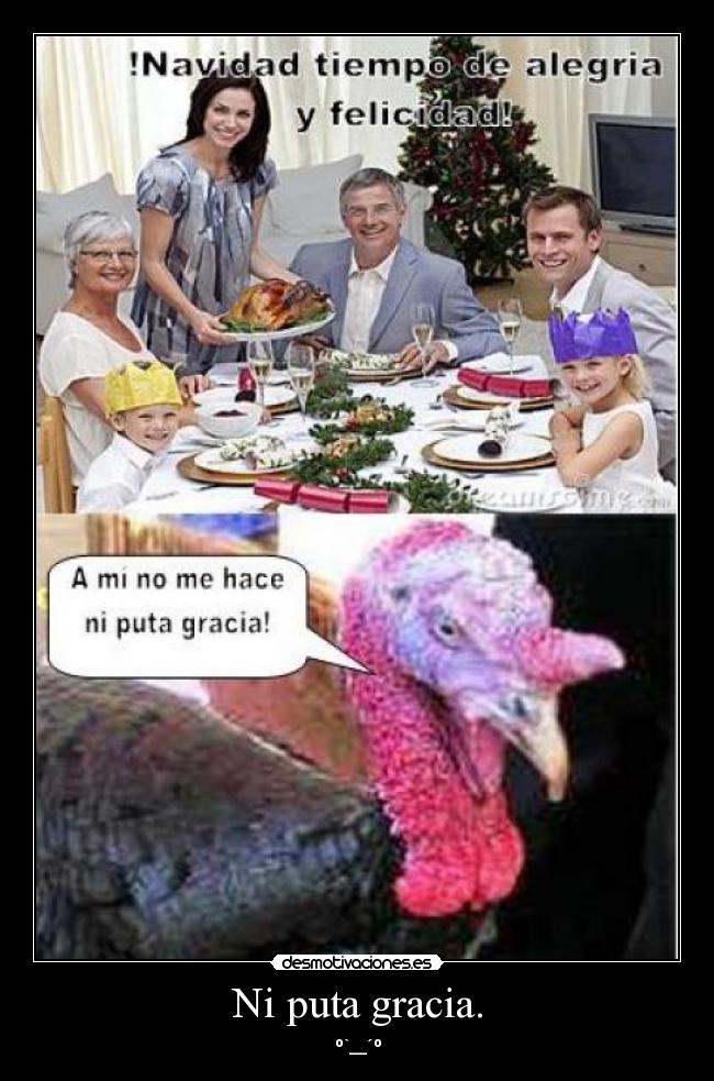 Ni puta gracia. - º`__´º