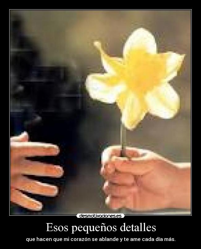 Esos pequeños detalles - que hacen que mi corazón se ablande y te ame cada día más.