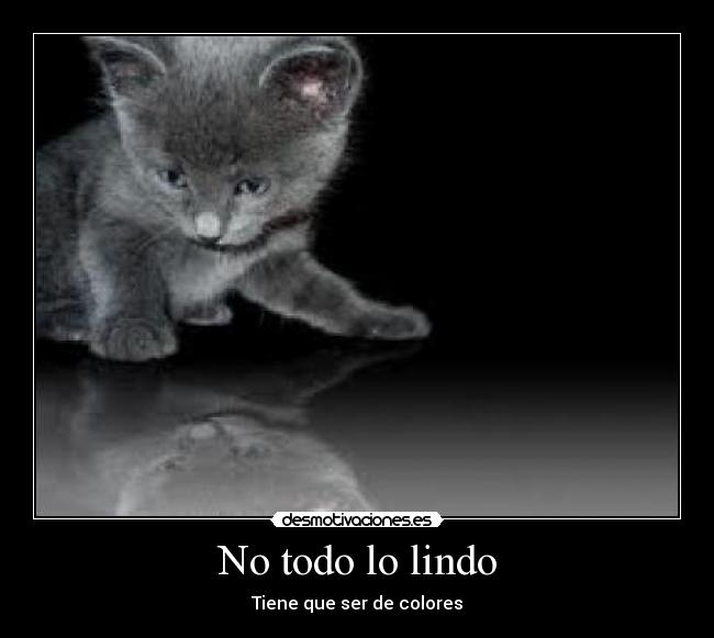 No todo lo lindo - 