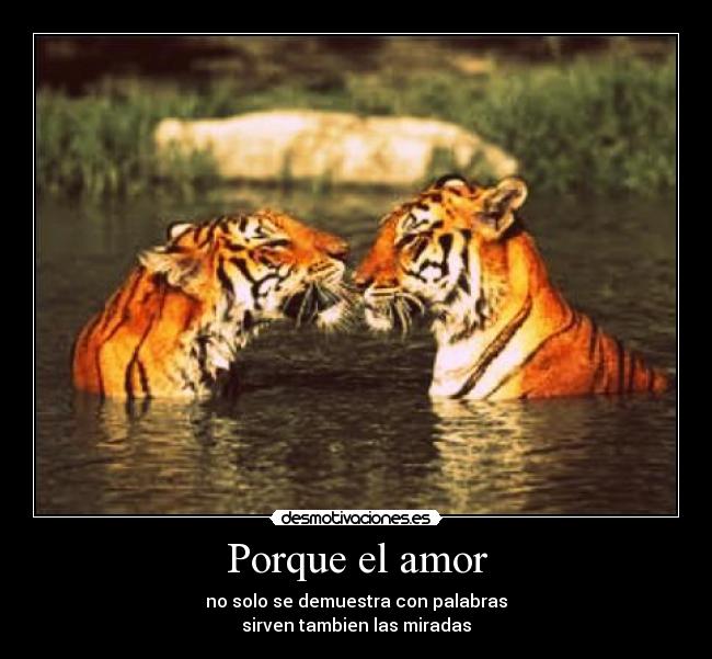 Porque el amor - no solo se demuestra con palabras
sirven tambien las miradas