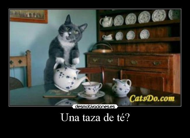 Una taza de té? -