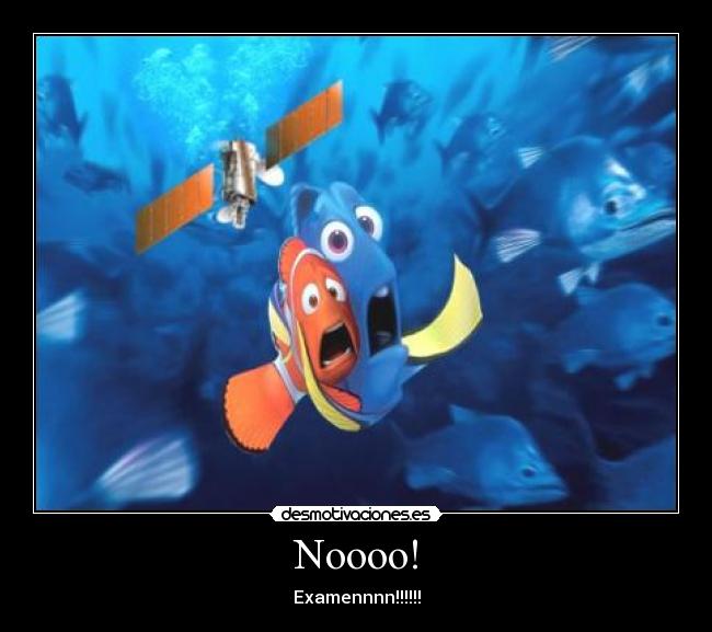 Noooo! - Examennnn!!!!!!