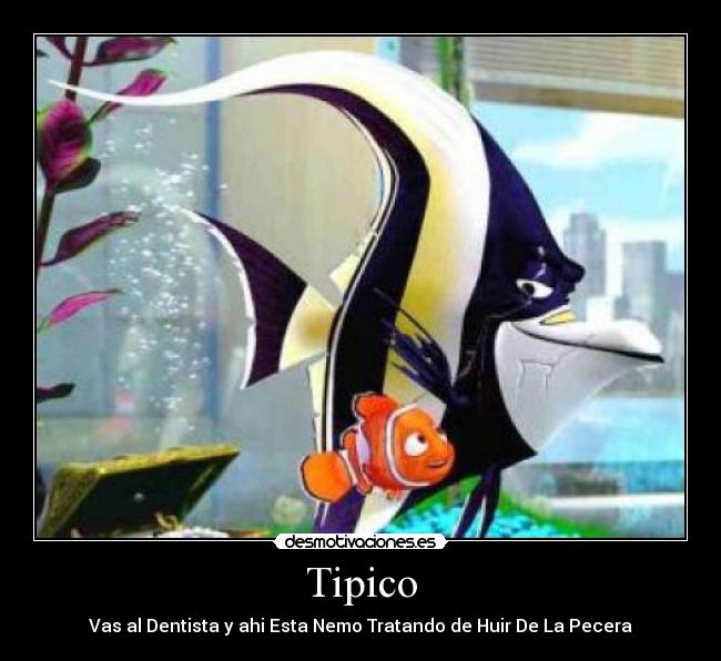 Tipico - Vas al Dentista y ahi Esta Nemo Tratando de Huir De La Pecera