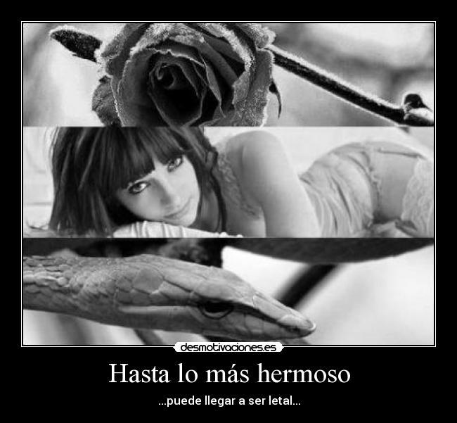 Hasta lo más hermoso -