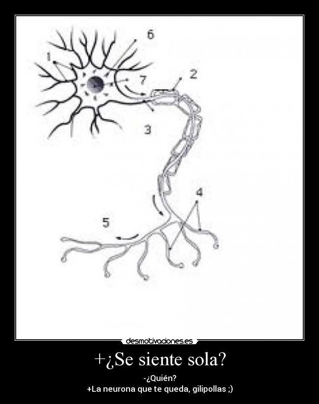 +¿Se siente sola? - -¿Quién?
+La neurona que te queda, gilipollas ;)