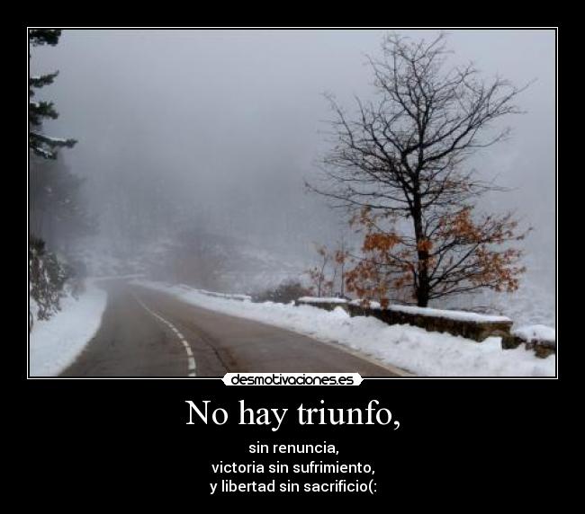 carteles naadiiaa desmotivaciones