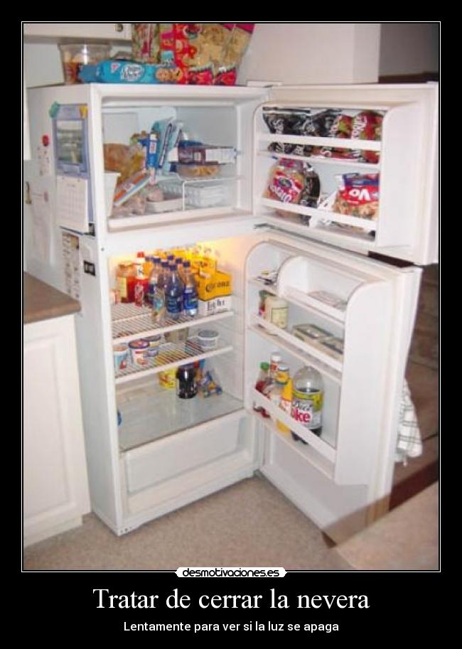 Tratar de cerrar la nevera -