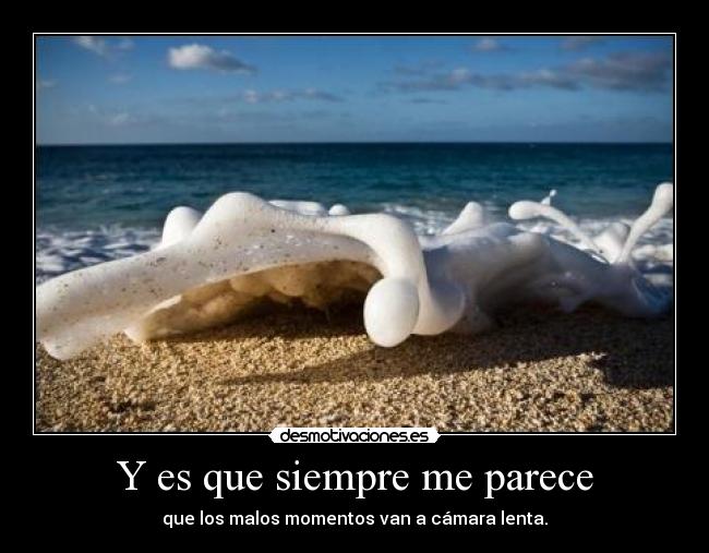 Y es que siempre me parece -