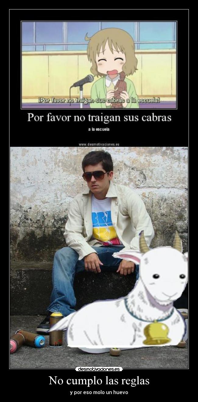 No cumplo las reglas - y por eso molo un huevo