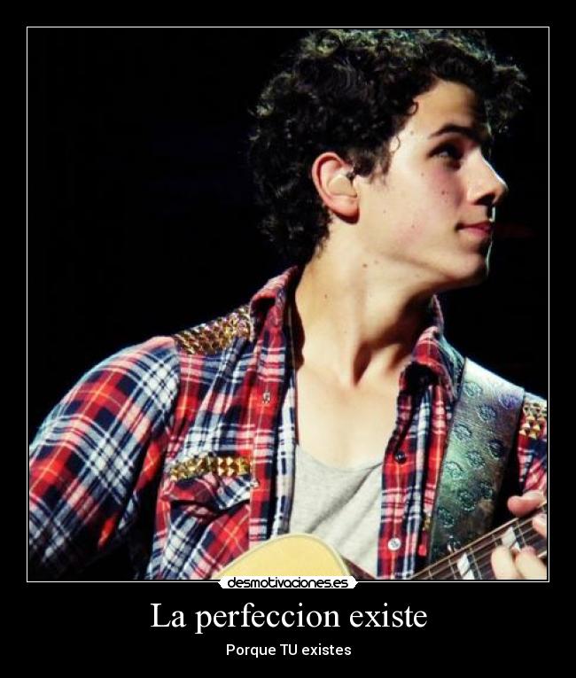 La perfeccion existe -