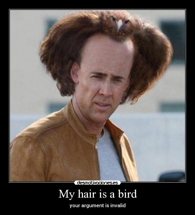 My hair is a bird - 