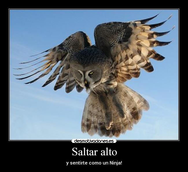 Saltar alto - 