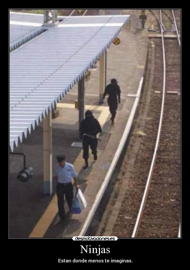 Ninjas - Estan donde menos te imaginas.