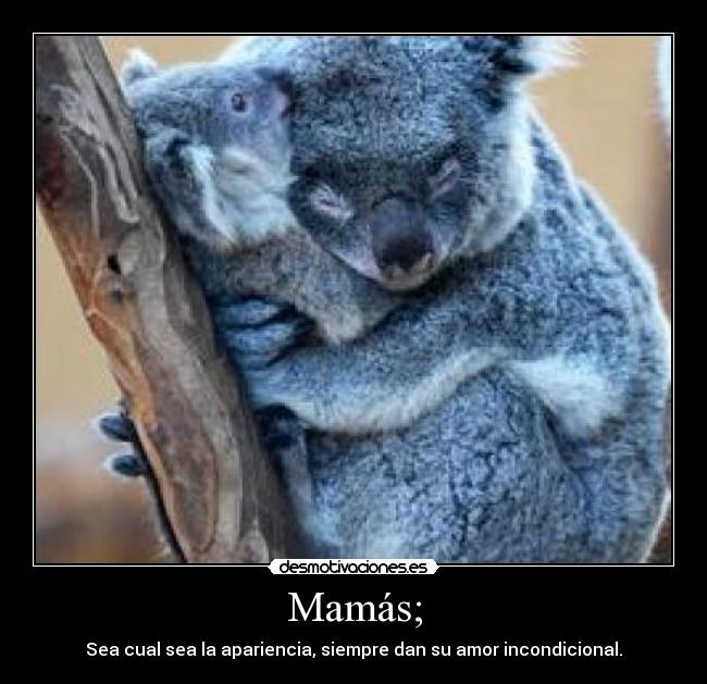 Mamás; - Sea cual sea la apariencia, siempre dan su amor incondicional.