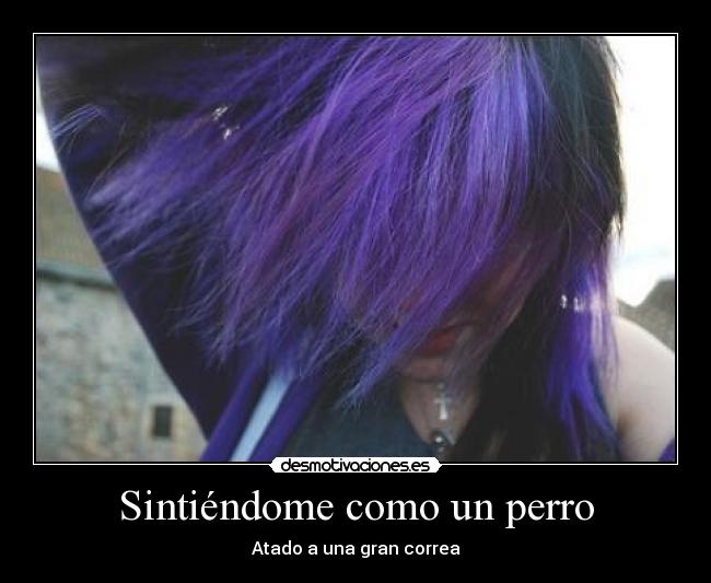Sintiéndome como un perro - Atado a una gran correa