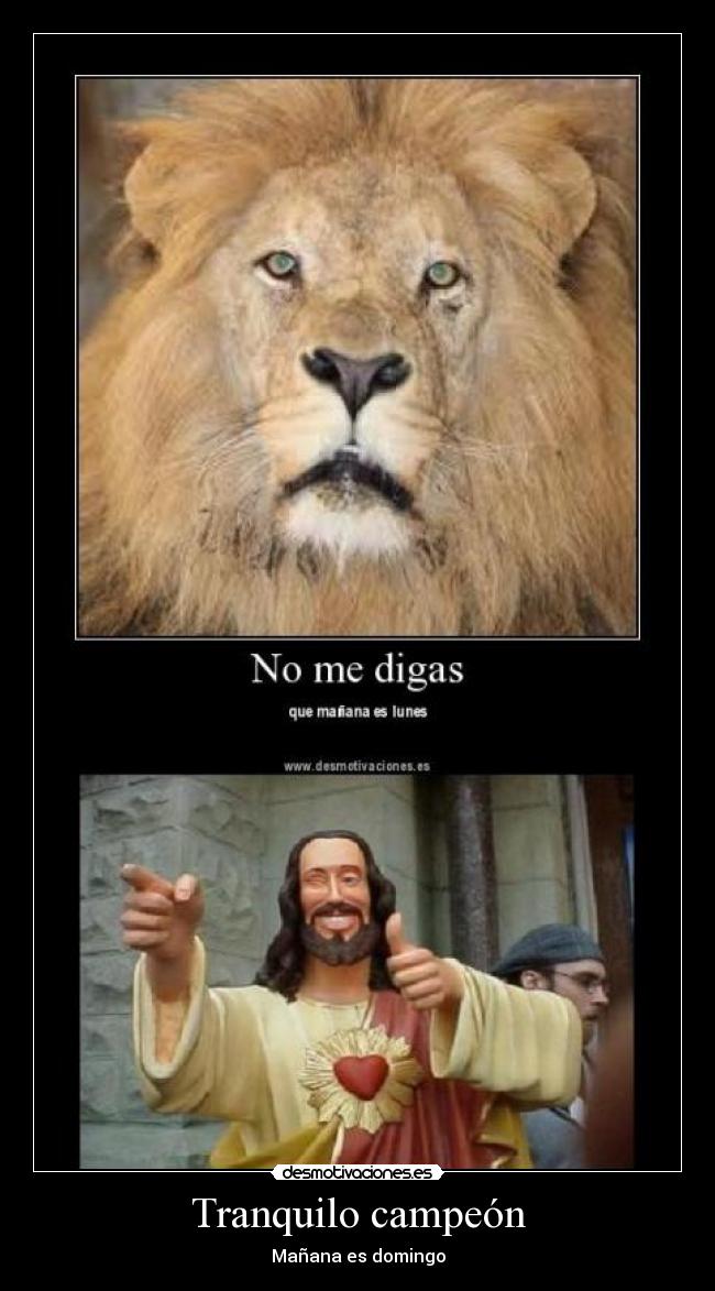 carteles domingo desmotivaciones