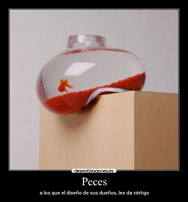 Peces - a los que el diseño de sus dueños, les da vértigo