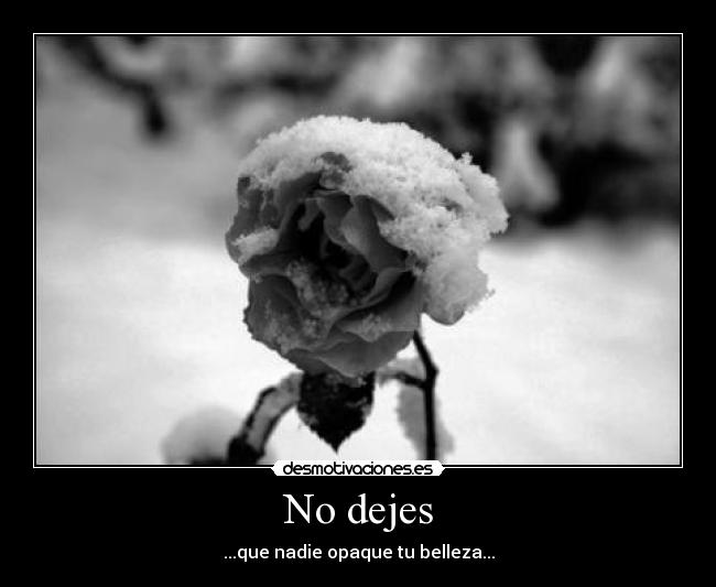 carteles dreadk dejes que alguien nadie hoy mueroooooooooooooo wuuuuuu desmotivaciones